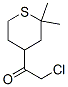 88653-80-9,Ethanone, 2-chloro-1-(tetrahydro-2,2-dimethyl-2H-thiopyran-4-yl)- (9CI)