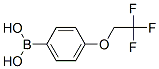 886536-37-4,4-(2,2,2-TRIFLUOROETHOXY)PHENYLBORONIC ACID
