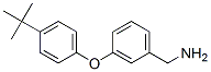 887582-95-8,3-(4-TERT-BUTYL-PHENOXY)BENZYLAMINE