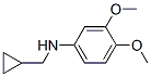 887588-08-1,CYCLOPROPYLMETHYL-(3,4-DIMETHOXY-PHENYL)-AMINE