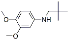 887588-12-7,(2,2-DIMETHYLPROPYL)-(3,4-DIMETHOXY-PHENYL)-AMINE