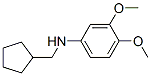 887589-91-5,CYCLOPENTYLMETHYL-(3,4-DIMETHOXY-PHENYL)-AMINE