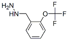 887595-82-6,2-TRIFLUOROMETHOXY-BENZYL-HYDRAZINE