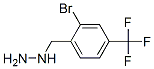 887596-24-9,2-BROMO-4-TRIFLUOROMETHYL-BENZYL-HYDRAZINE