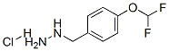 887596-65-8,[4-(DIFLUOROMETHOXY)BENZYL]HYDRAZINE HYDROCHLORIDE