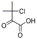 89323-58-0,Butyric  acid,  3-chloro-3-methyl-2-oxo-  (7CI)