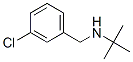 893577-81-6,N-(tert-butyl)-N-(3-chlorobenzyl)amine