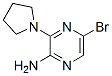 893611-72-8,2-AMINO-5-BROMO-3-PYRROLIDIN-1-YLPYRAZINE