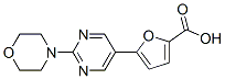 893740-76-6,5-(2-(4-Methylpiperazin-1-yl)pyrimidin-5-yl)-furan-2-carboxylic