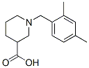896045-45-7,1-(2,4-dimethylbenzyl)piperidine-3-carboxylic acid