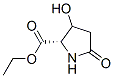 89775-97-3,Proline, 3-hydroxy-5-oxo-, ethyl ester (7CI)