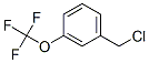 89807-43-2,3-(TRIFLUOROMETHOXY)BENZYL CHLORIDE