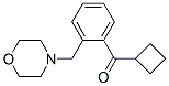 898751-33-2,CYCLOBUTYL 2-(MORPHOLINOMETHYL)PHENYL KETONE