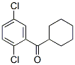 898769-48-7,CYCLOHEXYL 2,5-DICHLOROPHENYL KETONE