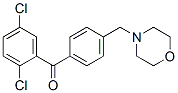 898770-59-7,2,5-DICHLORO-4'-MORPHOLINOMETHYL BENZOPHENONE