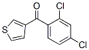898771-52-3,3-(2,4-DICHLOROBENZOYL)THIOPHENE