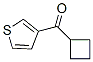 898771-70-5,CYCLOBUTYL 3-THIENYL KETONE