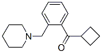 898773-85-8,CYCLOBUTYL 2-(PIPERIDINOMETHYL)PHENYL KETONE