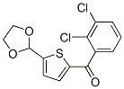 898778-86-4,2-(2,3-DICHLOROBENZOYL)-5-(1,3-DIOXOLAN-2-YL)THIOPHENE