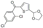 898778-88-6,2-(2,4-DICHLOROBENZOYL)-5-(1,3-DIOXOLAN-2-YL)THIOPHENE
