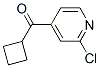 898785-15-4,(2-CHLORO-PYRIDIN-4-YL)-CYCLOBUTYL-METHANONE
