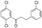 898787-37-6,3-(3-CHLOROPHENYL)-2',5'-DICHLOROPROPIOPHENONE
