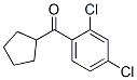 898791-81-6,CYCLOPENTYL 2,4-DICHLOROPHENYL KETONE