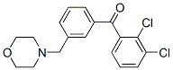 898792-16-0,2,3-DICHLORO-3'-MORPHOLINOMETHYL BENZOPHENONE
