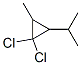 89891-44-1,Propane, 2-(2,2-dichloro-3-methylcyclopropyl)- (7CI)