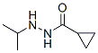 89940-79-4,Cyclopropanecarboxylic acid, 2-isopropylhydrazide (7CI)