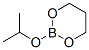 90011-03-3,2-ISOPROPOXY-[1,3,2]DIOXABORINANE