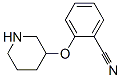 902836-51-5,2-(PIPERIDIN-3-YLOXY)-BENZONITRILE