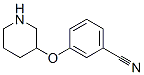 902836-93-5,3-(PIPERIDIN-3-YLOXY)-BENZONITRILE