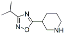 902837-19-8,3-[3-(1-methylethyl)-1,2,4-oxadiazol-5-yl]piperidine