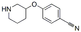 902837-34-7,4-(PIPERIDIN-3-YLOXY)-BENZONITRILE