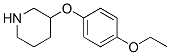 902837-36-9,3-(4-ETHOXYPHENOXY)PIPERIDINE