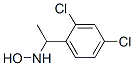 904813-22-5,N-[1-(2,4-DICHLORO-PHENYL)-ETHYL]-HYDROXYLAMINE