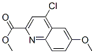 905807-62-7,METHYL 4-CHLORO-6-METHOXY-QUINOLINE-2-CARBOXYLATE