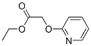 90972-27-3,ACETIC ACID, (2-PYRIDYLOXY)-, ETHYL ESTER