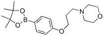 910462-33-8,4-(3-(4-(4,4,5,5-tetramethyl-1,3,2-dioxaborolan-2-yl)phenoxy)propyl)morpholine