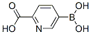 913836-11-0,5-BORONOPICOLINIC ACID