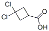 915185-89-6,3,3-DICHLOROCYCLOBUTANECARBOXYLIC ACID