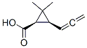 91726-53-3,Cyclopropanecarboxylic acid, 2,2-dimethyl-3-(1,2-propadienyl)-, (1R-cis)- (9CI)