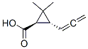 91796-95-1,Cyclopropanecarboxylic acid, 2,2-dimethyl-3-(1,2-propadienyl)-, (1R-trans)- (9CI)