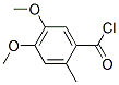 91940-89-5,Benzoyl chloride, 4,5-dimethoxy-2-methyl- (9CI)