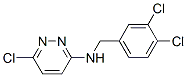 919522-44-4,3-PYRIDAZINAMINE, 6-CHLORO-N-[(3,4-DICHLOROPHENYL)METHYL]-