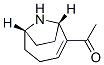 92142-32-0,(-) ANATOXIN-A FUMARATE