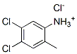93839-01-1,4,5-dichloro-2-methylanilinium chloride