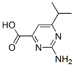 938458-89-0,2-AMINO-6-ISOPROPYLPYRIMIDINE-4-CARBOXYLIC ACID