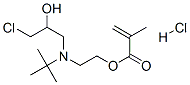 93892-99-0,2-[(tert-butyl)(3-chloro-2-hydroxypropyl)amino]ethyl methacrylate hydrochloride